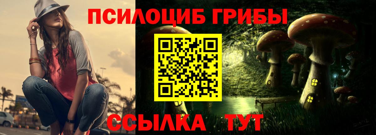 Гусиноозёрск  Галлюциногенные грибы ЛСД  Вход с VPN  Галлюциногенные грибы Psilocybine cubensis 