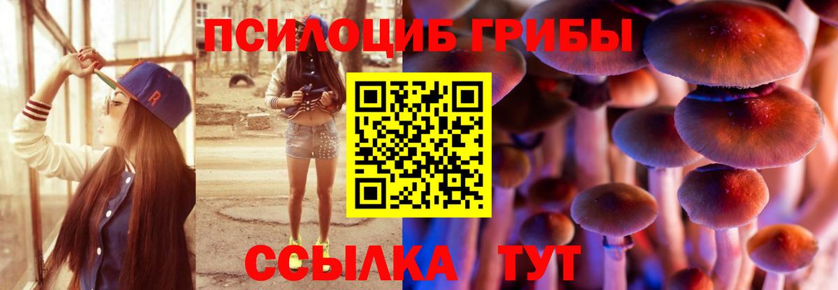 Псилоцибиновые грибы мухоморы Гусиноозёрск